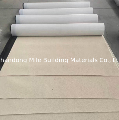 Self adhesive waterproof membrane HDPE film for tunnel, HDPE waterproof membrane