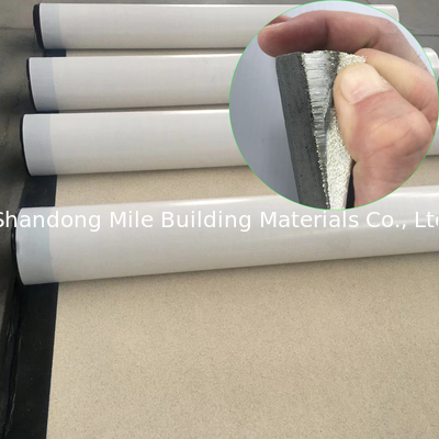 Waterproof membrane, ISO, CE, SGS ,60 days UV resistance HDPE waterproofing membrane