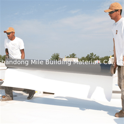 TPO Sheet Waterproofing Membrane With ASTM Standard Type P1.5mm Roof Tpo Waterproofing Membrane