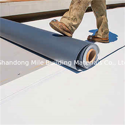 Non-woven fabric backing with fiberglass reinforced sky blue TPO waterproofing membra