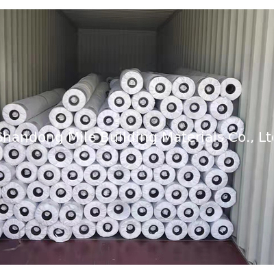 Non-woven fabric backing with fiberglass reinforced sky blue TPO waterproofing membra