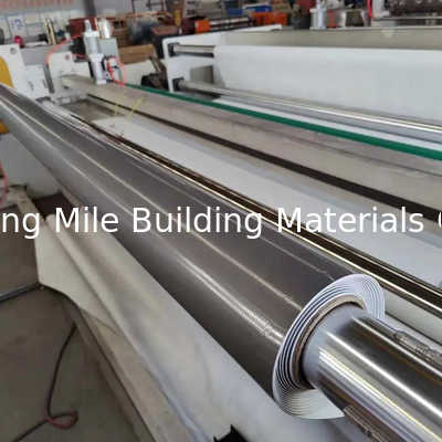 Polyester felt reinforced homogeneous waterproofing TPO memb hot welding homogeneous waterproofing membrane