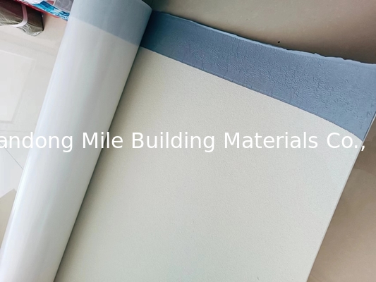 Pre-applied HDPE/TPO High Polymer Self-adhesive Waterproof Membrane